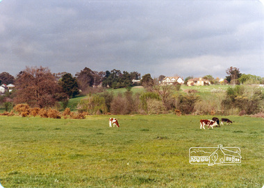 Photograph, Believed to be in the region of Banyule Flats, Lower Plenty, c.1980s, 1980s