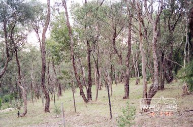 Photograph, 32 Piper Crescent, Eltham, 16 May 1990, 16/05/1990