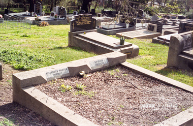 Photograph, Sweeney and Carrucan; Eltham cemetery, August 2007, 2007