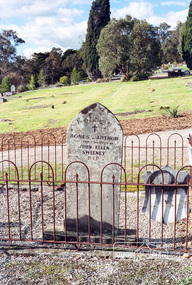 Photograph, Sweeney; Eltham cemetery, August 2007, 2007
