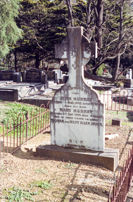 Photograph, Murray; Eltham cemetery, August 2007, 2007