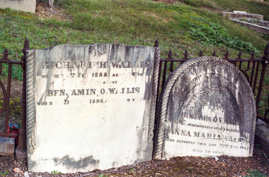 Photograph, Wallis; Eltham cemetery, August 2007, 2007