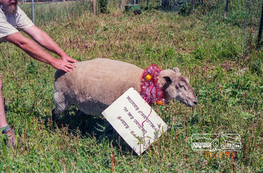 Photograph, Merry Christmas to my friend Gabby - Baa, 17/12/1993