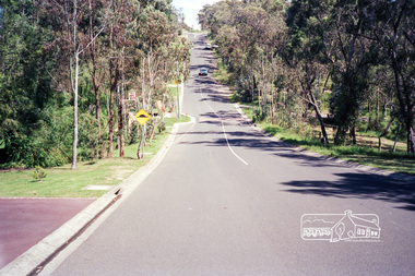 Photograph, Eucalyptus Road, Eltham, 15 October 1990
