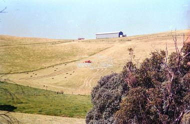 Negative - Photograph, Kangaroo Ground, 1998c