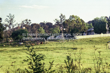 Negative - Photograph, Edendale Community Farm, Gastons Road, Eltham, 1998c