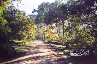 Photograph, Looking north along Peter Street, Eltham, c.July 1998, 1998