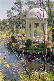 Photograph, Cameron Lodge, Mount Macedon, 7 November 1982, 07/11/1982