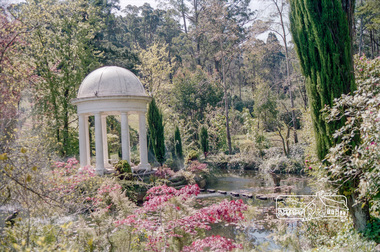 Photograph, Cameron Lodge, Mount Macedon, 7 November 1982, 07/11/1982