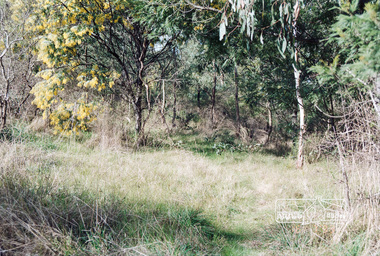 Photograph, Rennard property, Karingal Drive, Briar Hill, 16 July 1993, 16/07/1993