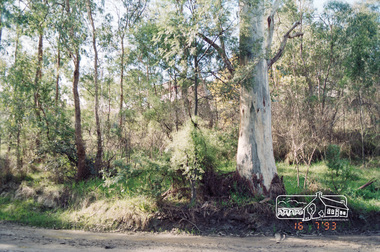 Photograph, Rennard property, Karingal Drive, Briar Hill, 16 July 1993, 16/07/1993