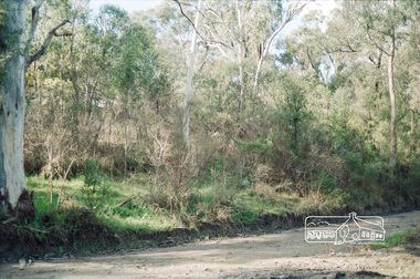 Photograph, Rennard property, Karingal Drive, Briar Hill, 16 July 1993, 16/07/1993