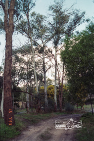 Photograph, Rennard property, Karingal Drive, Briar Hill, 16 July 1993, 16/07/1993