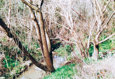 Photograph, Rennard property, Karingal Drive, Briar Hill, 16 July 1993, 16/07/1993
