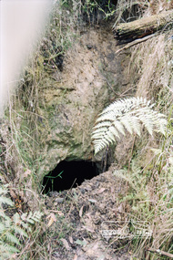Photograph, One Tree Hill Mine and Surrounds, 1992