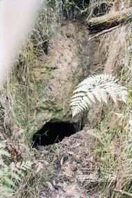 Photograph, One Tree Hill Mine and Surrounds, 1992, 1992