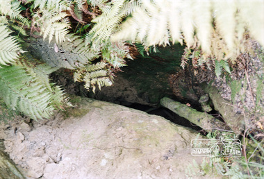 Photograph, One Tree Hill Mine and Surrounds, 1992, 1992