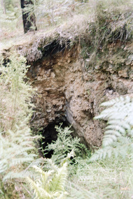 Photograph, One Tree Hill Mine and Surrounds, 1992, 1992