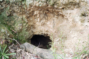 Photograph, One Tree Hill Mine and Surrounds, 1992, 1992
