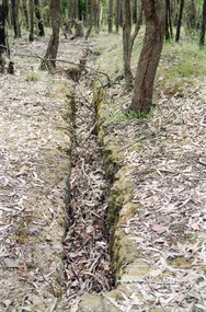 Photograph, One Tree Hill Mine and Surrounds, 1992, 1992