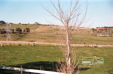 Photograph, Kangaroo Ground, 8 July 1994, 08/07/1994