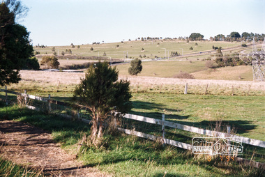 Photograph, Kangaroo Ground, 8 July 1994, 08/07/1994