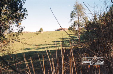 Photograph, Kangaroo Ground, 8 July 1994, 08/07/1994