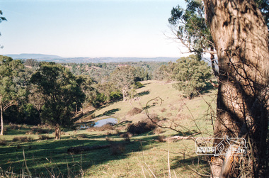 Photograph, Kangaroo Ground, 8 July 1994, 08/07/1994