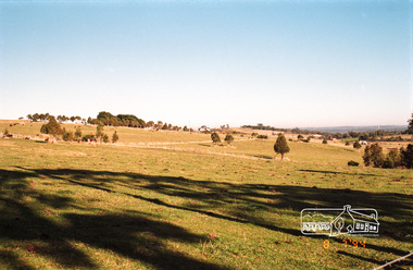 Photograph, Kangaroo Ground, 8 July 1994, 08/07/1994