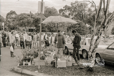 Photograph, Plant Stall, Eltham Market, Carpark, Commercial Place, Eltham, October 1988, 1988