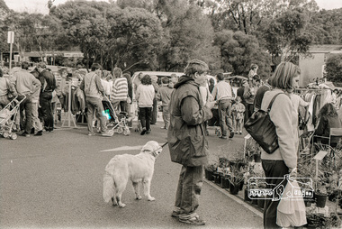 Photograph, Plant Stall, Eltham Market, Carpark, Commercial Place, Eltham, October 1988, 1988