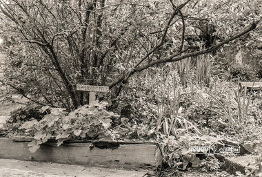 Photograph, Garden, Eltham Living and Learning Centre, October 1988, 1988