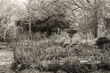 Photograph, Garden, Eltham Living and Learning Centre, October 1988, 1988