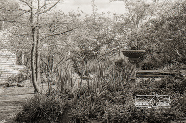 Photograph, Garden, Eltham Living and Learning Centre, October 1988, 1988