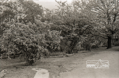 Photograph, Garden, Eltham Living and Learning Centre, October 1988, 1988