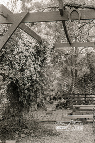 Photograph, Garden, Eltham Living and Learning Centre, October 1988, 1988