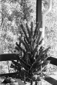 Photograph, Open Day, Eltham Living and Learning Centre, November 1988, 1988