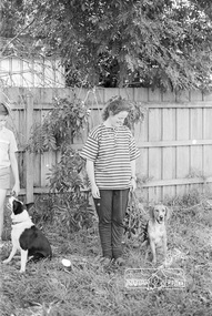Photograph, Open Day, Eltham Living and Learning Centre, November 1988, 1988