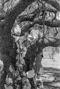 Photograph, Open Day, Eltham Living and Learning Centre, November 1988, 1988