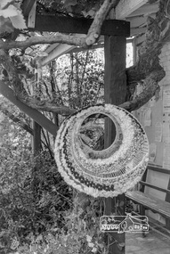 Photograph, Open Day, Eltham Living and Learning Centre, November 1988, 1988