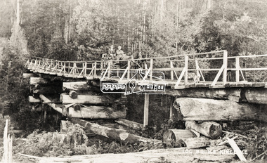 Negative - Photograph, Log bridge over Pheasant Creek, Kinglake, c.1920