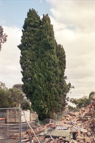 Negative - Photograph, Harry Gilham, Demolition of Eltham Shire Offices, 895 Main Road, Eltham, Aug. 1996