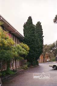 Negative - Photograph, Harry Gilham, Shillinglaw trees from the safety compound: Demolition of Eltham Shire Offices, 895 Main Road, Eltham, Aug. 1996