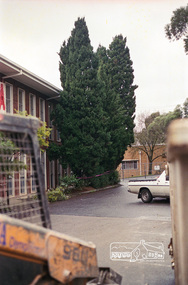 Negative - Photograph, Harry Gilham, Shillinglaw trees from the safety compound: Demolition of Eltham Shire Offices, 895 Main Road, Eltham, Aug. 1996