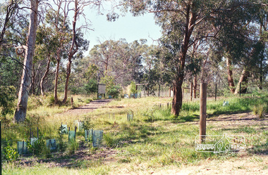 Photograph, Harry Gilham, Family Nature Trail, Eltham Lower Park, c.1996, 1996