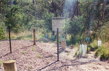 Photograph, Harry Gilham, Family Nature Trail, Eltham Lower Park, c.1996, 1996