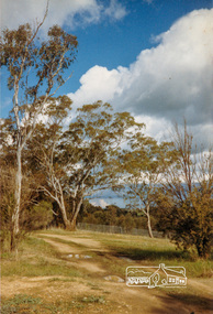 Photograph, Yan Yean, 1987, 1987