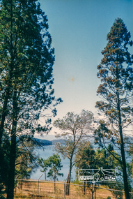 Photograph, Yan Yean, 1988, 1988