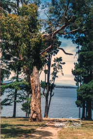 Photograph, Yan Yean, 1988, 1988