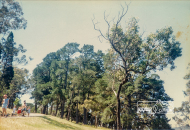 Photograph, Yan Yean, 1988, 1988